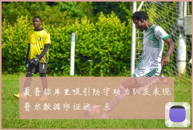 夏普称库里吸引防守助力队友表现普尔数据印证这一点