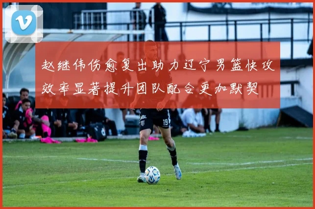 赵继伟伤愈复出助力辽宁男篮快攻效率显著提升团队配合更加默契